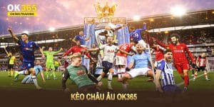 Kèo châu Âu OK365