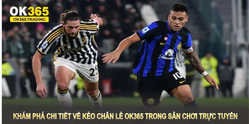 Khám phá chi tiết về kèo chẵn lẻ OK365 trong sân chơi trực tuyến