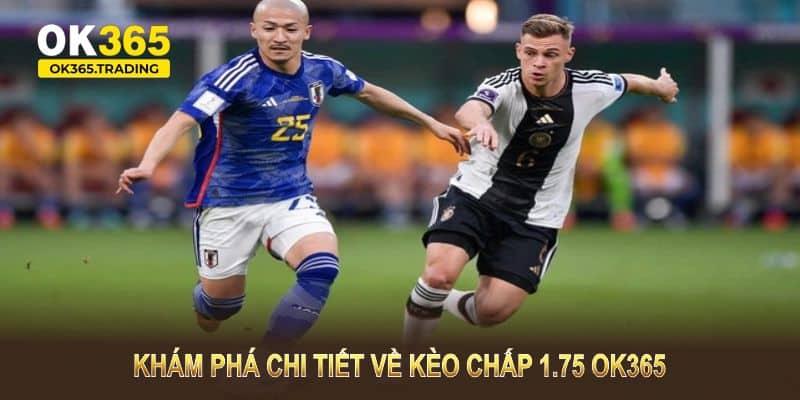 Khám phá chi tiết về kèo chấp 1.75 OK365 và cách thức áp dụng tại nhiều giải đấu