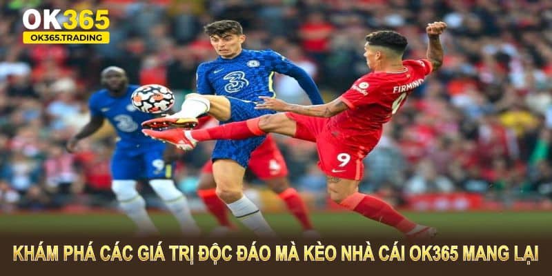 Khám phá các giá trị độc đáo mà kèo nhà cái OK365 mang lại cho bạn