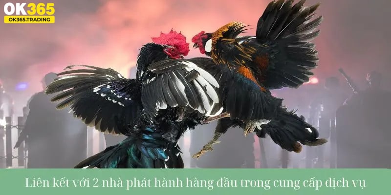Liên kết với 2 nhà phát hành hàng đầu trong cung cấp dịch vụ