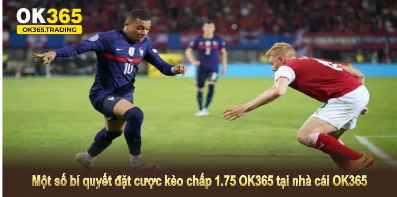 Một số bí quyết đặt cược kèo chấp 1.75 OK365 tại nhà cái OK365