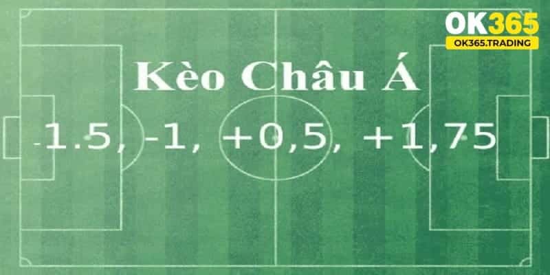 Cách thành viên phân tích tỷ lệ cược châu Á